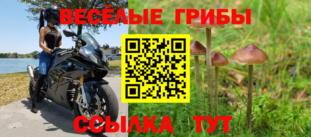 Камень-на-Оби  Вейп ТГК  Конопля  Мефедрон  Кокаин  Лсд 25  Вход с VPN  Гашиш  ГАШИШ  МЕФ кристаллы  МДМА 