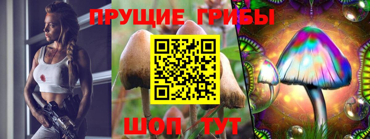 Псилоцибиновые грибы ЛСД  Вход с VPN  купить наркотики сайты  Камень-на-Оби  Галлюциногенные грибы GOLDEN TEACHER 